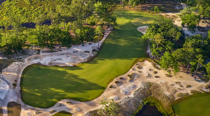 Metal Spikes Win in South Carolina!