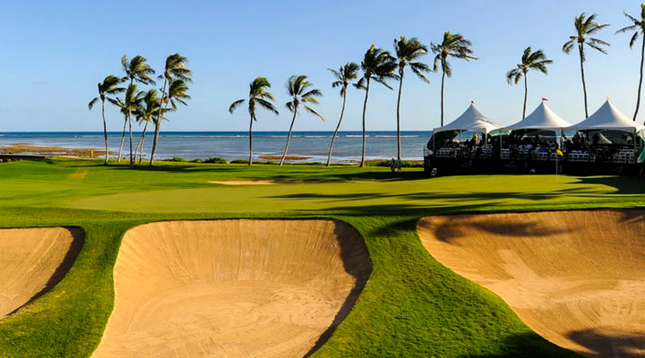 PrideSports® Replaceable Spikes Used by Winner of Sony Open