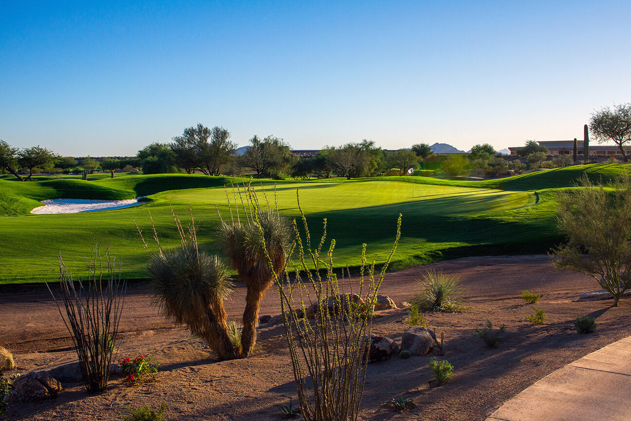 PrideSports® Replaceable Spikes Used by Winner of WM Phoenix Open and More