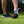 The underside of a persons golf shoe showing red and black Pivix golf spikes attached.