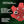 A red Pivix Golf Spike showing the features of the product.